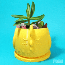chicken planter home needed supports no studio atomicos cute animals chickens atomicosstudio cacti suculent yellow egg flowers pot plants cluck hen 3d print model - Mito3D