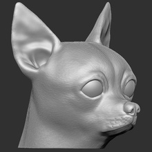 chihuahua cabeça 3d impressão alemão pastor cão rouco touro terrier pitbull poodle boxer rottweiler francês buldogue dourado retriever labrador Shiba dinamarquês pug dachshund yorkshire 3d print model - Mito3D