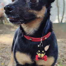 chihuahua russo toyterrier identificação chave joalheria cão 3d print model - Mito3D