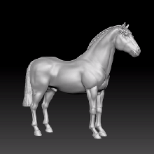 cileno puledro arte cavallo chili 3d print model - Mito3D