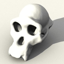 chimpanzee skull various anatomy biology bone evolution monkey 3d print model - Mito3D