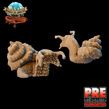 chiton youngling game snail escargo modular worlds slug fantasy d&d rpg tabletop pathfinder monster monstrosity flail 28mmcreature beast 3d print model - Mito3D
