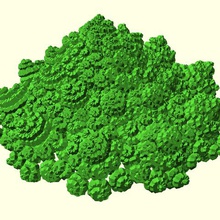 choux romanesco art matemáticas de los vegetales fractal 3d print model - Mito3D