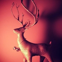 christmas deer art stag 3d print model - Mito3D
