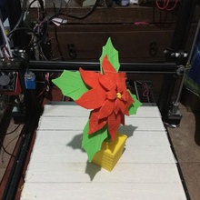 christmas eve flower home 3d print model - Mito3D