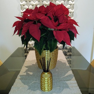 christmas set Home home decor design planters essence diffuser snowflake stars tree holly ball 3d print model - Mito3D