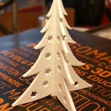 christmas tree various fir 3d print model - Mito3D