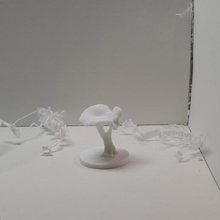 le cinabre rouge champignon chanterelle 9 divers cinnebarinus diorama chantarellus la science réplique nature les champignons comestibles girolles 3d print model - Mito3D