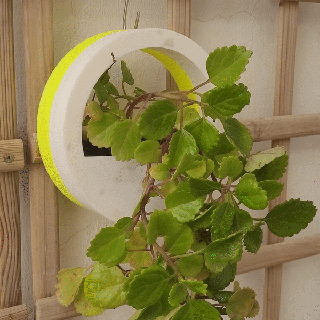 circle wall desk planter easy water plantersxcults 3d print model - Mito3D
