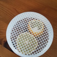 citrus dishwasher home kitchen 3d print model - Mito3D