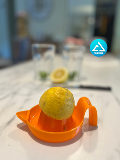 agrios exprimidor limón prensa 3d print model - Mito3D