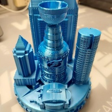 city champions-tampa bay lightning hockey puck tampa champions stanley cup 3d print model - Mito3D
