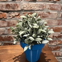 classic planter self-watering flower pot plants flowers decor 3d print model - Mito3D