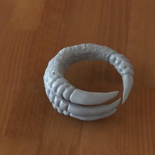 claw ring jewelry keyring armband bracelet dragon eagle toy 3d print model - Mito3D