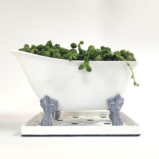 griffe baignoire plante pot succulent planteur drainer trou soucoupe intérieur pied drainage unique pots 3d print model - Mito3D