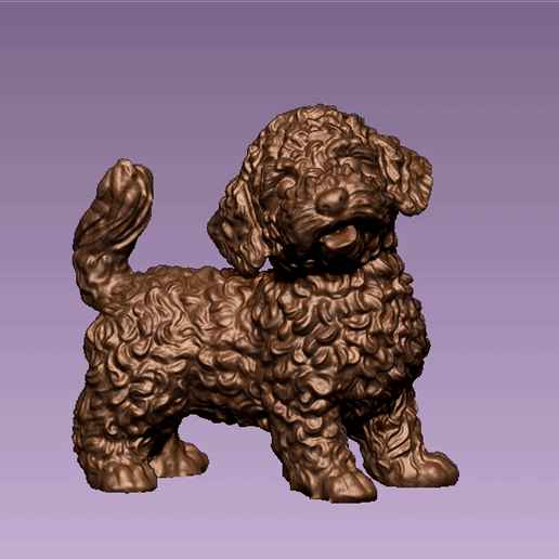 cockapoo dog art spoodle puppy 3D print model - Mito3D