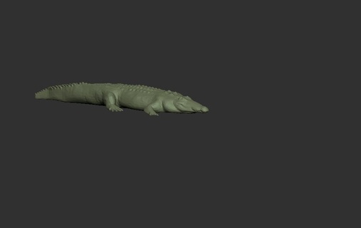 crocodile jouet animal 3d print model - Mito3D