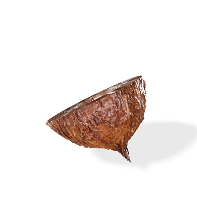 kokosnuss 3d gemüse obst baum wald hölzern holz pflanze lebensmittel getränk saft natur zuhause haus tropisch apfel modell pflug chui banane pfirsich gras 3d print model - Mito3D