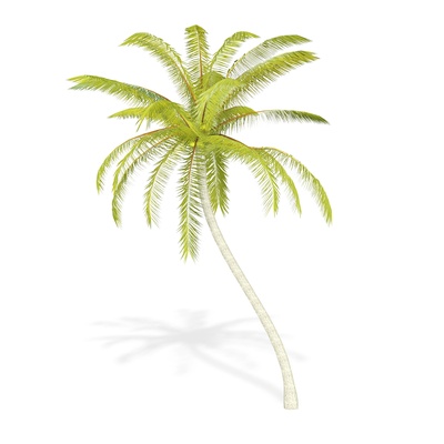 coconut leaves trunk tree vegetable fruit forest wooden wood flower plant food drink juice nature apple 3d model cay chuoi banana peach grass 3d print model - Mito3D