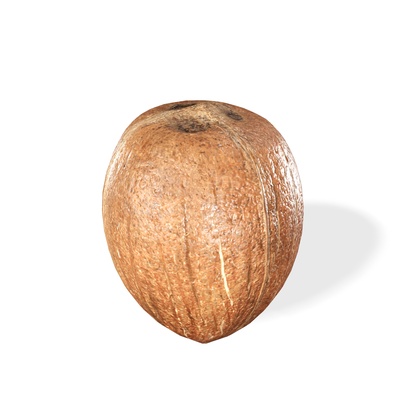 kokosnuss gemüse obst baum wald hölzern holz pflanze lebensmittel getränk saft natur zuhause haus tropisch apfel 3d modell pflug chui banane pfirsich gras 3d print model - Mito3D