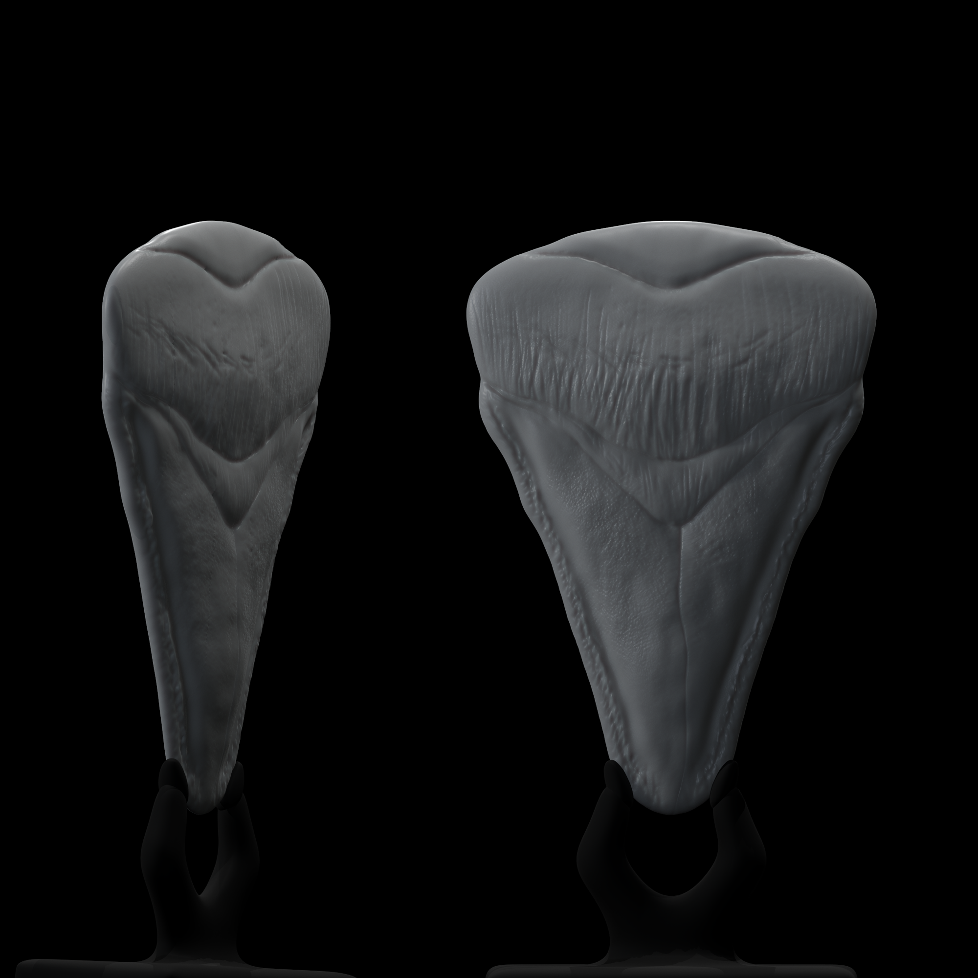 colecionável megalodon dente violão picaretas conceito original palheta arte megalodontepalito 3D print model - Mito3D