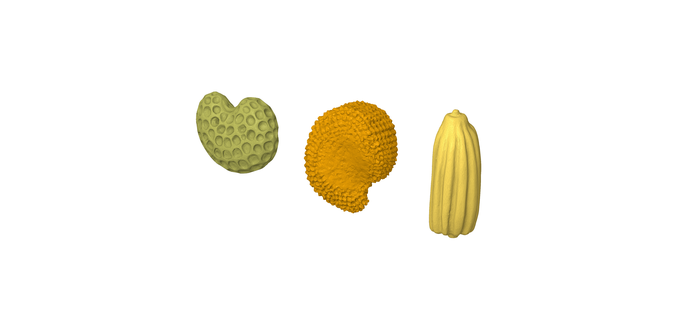 collection real world pollen samples 3d scanned 1 300 scale cc3d biology education scanning seeds plants nature biodiversity eden project 3d print model - Mito3D