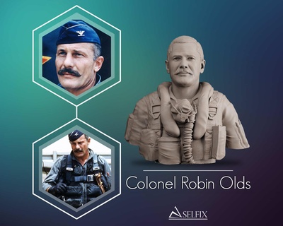 albay Robin yaşlılar 3d model Yazdır büst Ordu asker askeri Amerika Birleşik Devletleri hava güç heykel adam Vesika dövüşçü pilot subay 3d print model - Mito3D