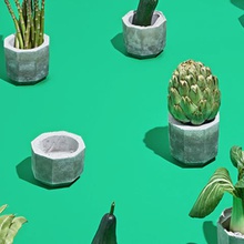 concrete planters project mayku home 3d print model - Mito3D