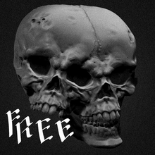 unido cráneo 3d print model - Mito3D