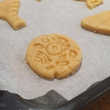 coockie cutter scientific biscuits - eukaryotic cell home cooking science eukaryote cells cookie 3d print model - Mito3D