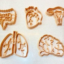 biscoito cortador humano órgãos x5 3d print model - Mito3D