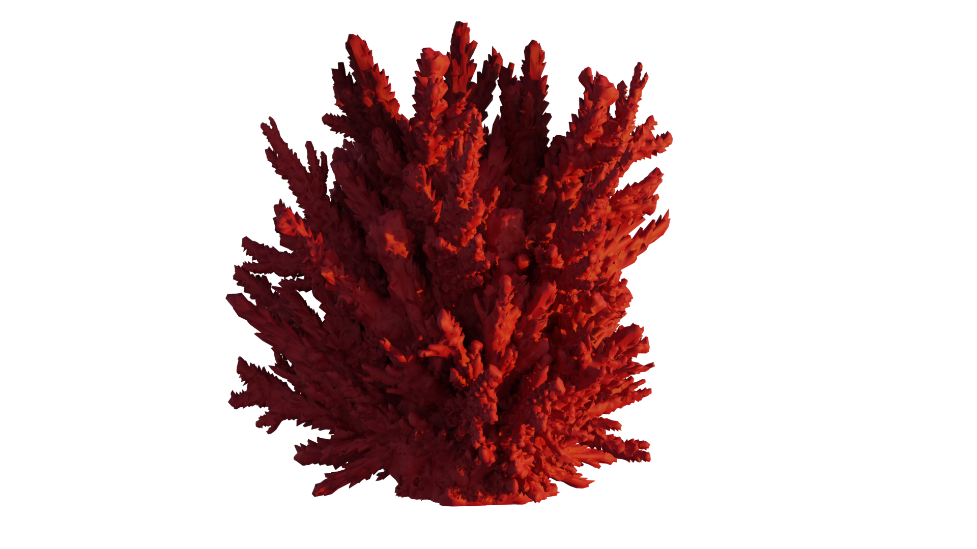 coral 3D print model - Mito3D