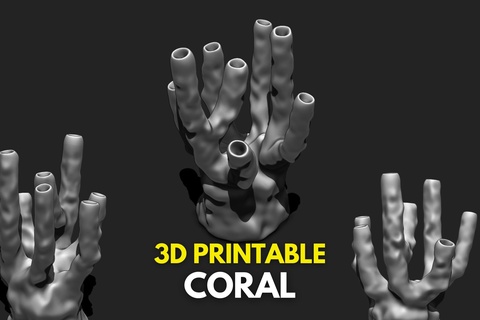 mercan 5 3d Yazdır akvaryum deniz hayat mercanlar doğa hayvan Su okyanus tropikal su suda yaşayan denizyıldızı çevre manzara kabuk yazdırılabilir plaj model 3d print model - Mito3D
