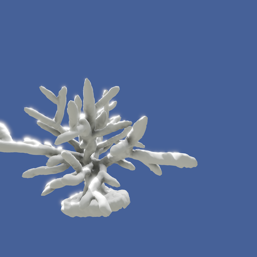 corail aquarium décoration 3D print model - Mito3D