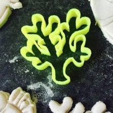 coral cookie cutter home 3d print model - Mito3D