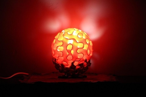 corallo lampada casa paralume luce illuminazione protonik ombra domestico 3d print model - Mito3D
