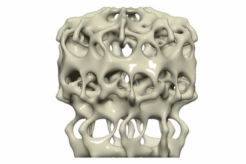 coral lámpara Arte matemáticas orgánico Ciencias 3d print model - Mito3D
