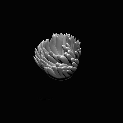 Koralle Riff Aquarium Dekor Dekoration 3D print model - Mito3D