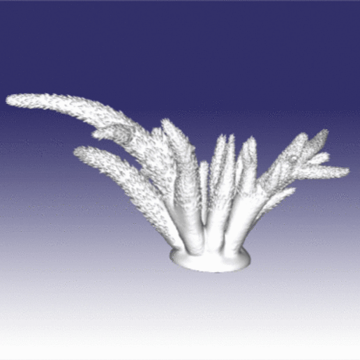 coral-scan Kunst aquarium Tier Meer coralreef Riff die Korallen coral 3D print model - Mito3D