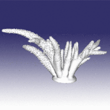 coral de escaneo art el acuario animal mar coralreef reef los corales 3d print model - Mito3D