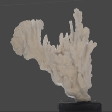 de coral art el acuario animal mar coralreef reef los corales orgánica 3d print model - Mito3D