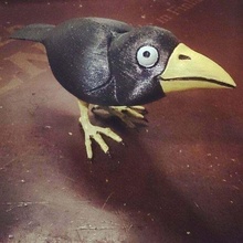 corbie-4 fixed animal animales bird birds crazy crow cuervo divertido pajaro pjaros raven animals 3d print model - Mito3D