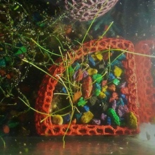 angolo acquario fioriera pianta corallo angoli pentola deco decorazione maceta macetas impianti serbatoio voronoi 3d print model - Mito3D