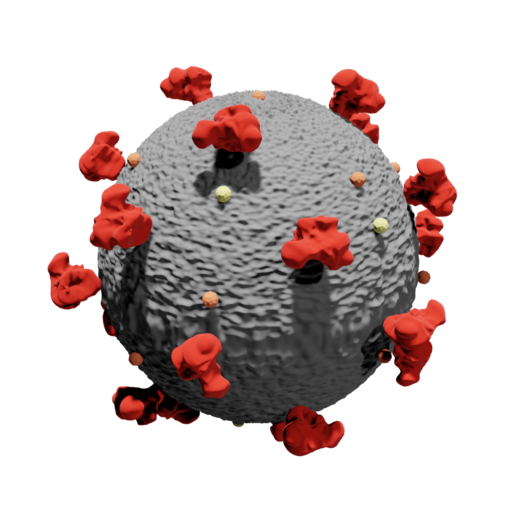 corona a arte covid covid-19 vírus 3D print model - Mito3D
