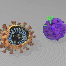 corona virüs buldu zdf - tv sayfası thomas leimbach yaptı çeşitli biyoloji 3d print model - Mito3D