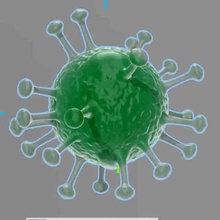 corona virus various green 3d print model - Mito3D