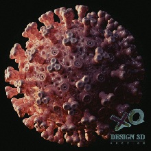 coronavírus covid-19 arquitetura 3d print model - Mito3D