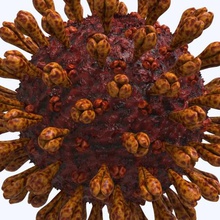 coronavirus de la maladie 19 covid art science covid19 agent pathogène pandémie germe microscopiques santé organique microbe pneumonie médicaux médecine microbiologie virus corona 3d print model - Mito3D