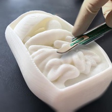corporeo umano dissezione progetto vari biologia surgeryproject medicalproject makeredchallenge anatomyproject 3d print model - Mito3D