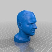cory doctorow's decimated head 3d printing doctorow people 3d print model - Mito3D